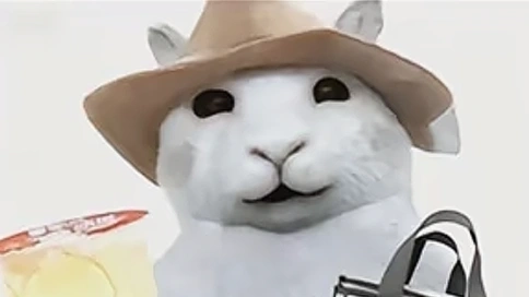 男人上年纪的表现