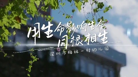 《用生命影响生命-同根相生》-深圳梅林一村幼儿园