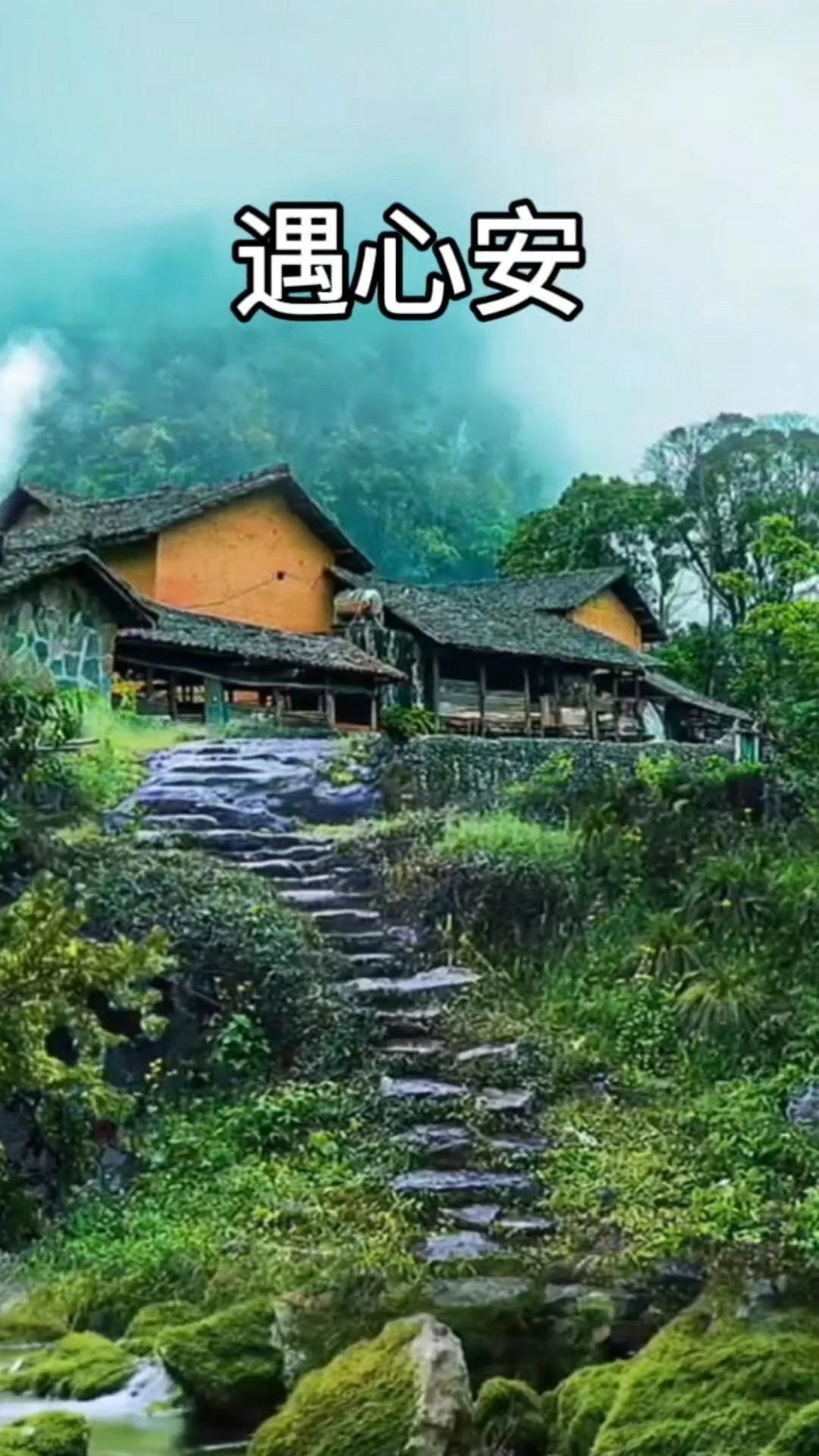 风景治愈系短视频 | 无配音纯BGM