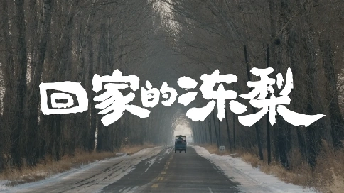 飞鹤 X 林更新 | 回家的冻梨