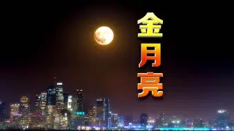 兴义市金月亮集团宣传片