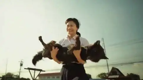 Krungthai银行公益广告《狗狗和女孩的故事》
