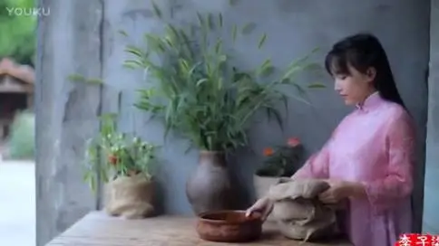 李子柒美食纪录片《古香古食》