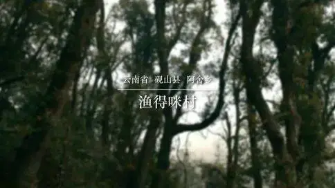 百威 STELLA ARTOIS 宣傳片《為她滿杯》 