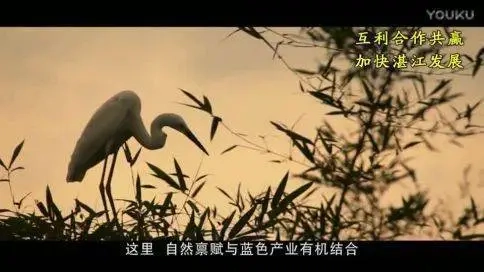 湛江市城市宣傳片《藍(lán)色生態(tài)之城》