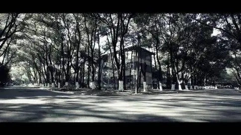 舞維一體街舞團(tuán)隊(duì)展示