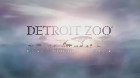 底特律动物园宣传片《DETROIT ZOO Education》
