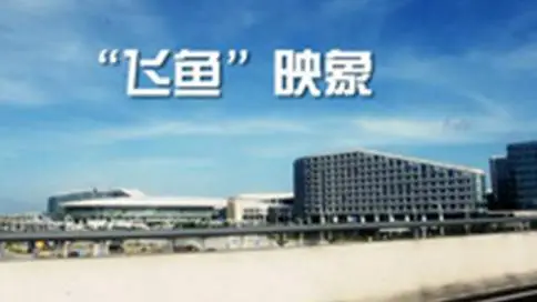 深圳宝安国际机场安全检查站品牌微电影《飞鱼映象》