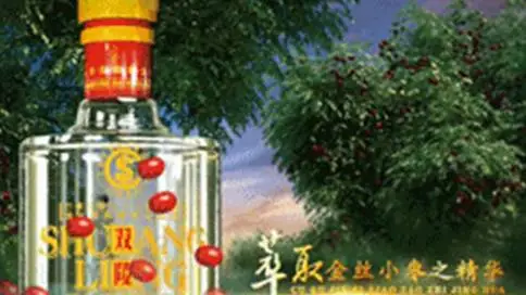 双陵春白酒广告片