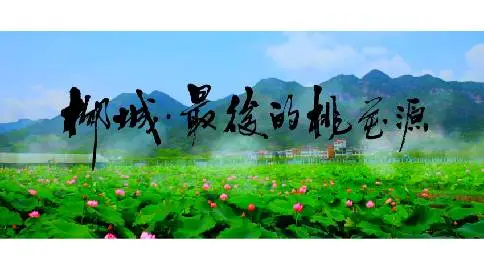 浙江·柳城畲族镇 旅游宣传片