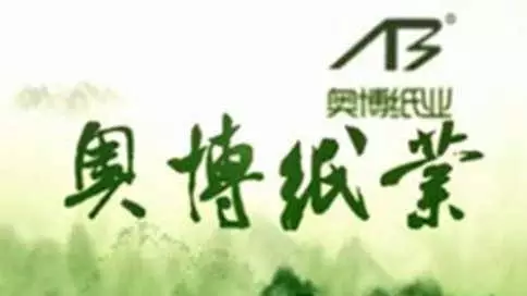 河南省奥博纸业有限公司企业宣传片