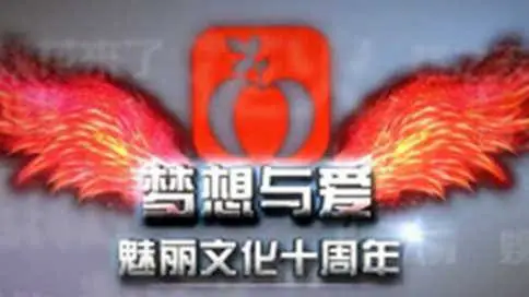 湖南魅丽文化十周年宣传片