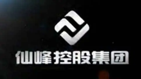 仙峰控股集团企业宣传片
