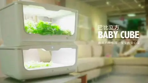 麻麻汇巴比立方儿童蔬菜种植园产品视频