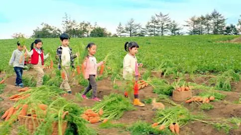 韩国生态果园宣传片