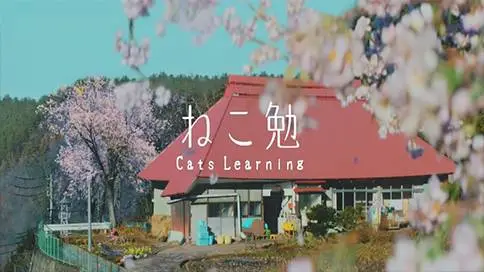 Neko-ben Cats Learning微电影?